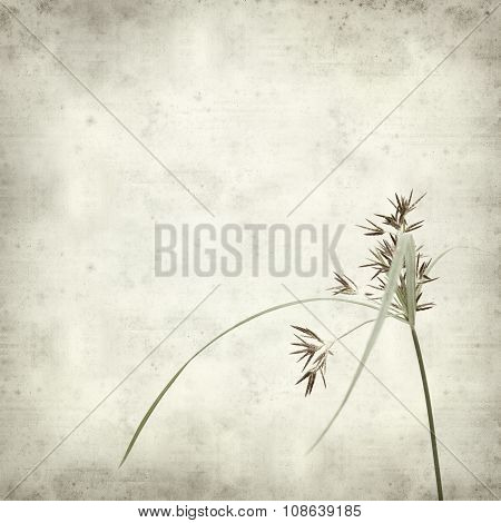 Textured Old Paper Background