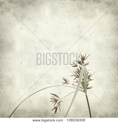 Textured Old Paper Background