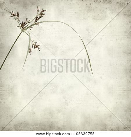Textured Old Paper Background