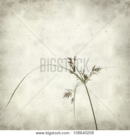 Textured Old Paper Background
