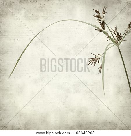 Textured Old Paper Background