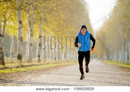 Sport Man Running Outdoors In Off Road Trail Ground With Trees Under Beautiful Autumn Sunlight