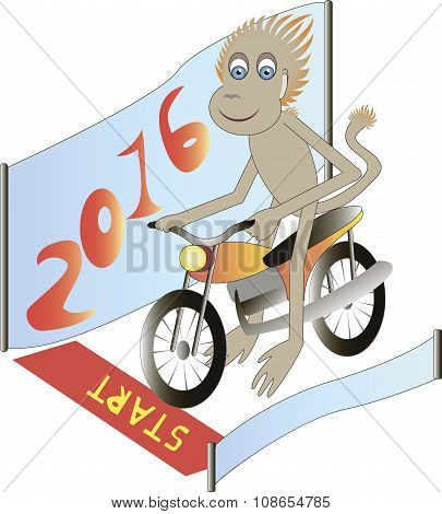 Monkey On Motorcycle