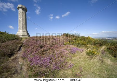 Viste dalla Thomas Hardy monumento Dorset England