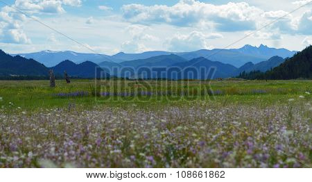National Park Uch-enmek, Altai, Siberia, Russia
