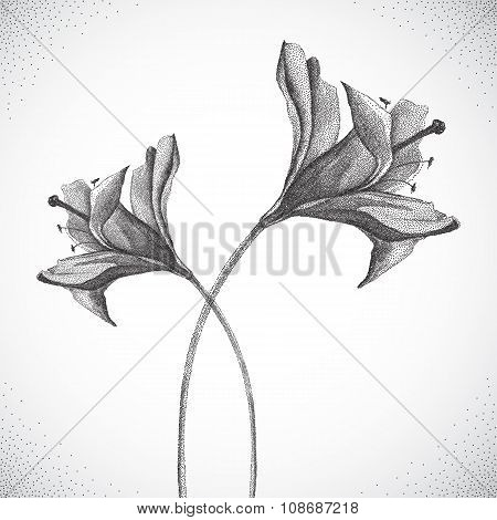 Flower. Black and white Dotwork