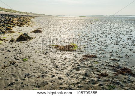 Mudflats Of A Dutch Estuary At Low Tide