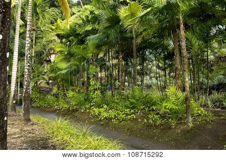 Picturesque Habitation Anse Latouche Garden In Martinique