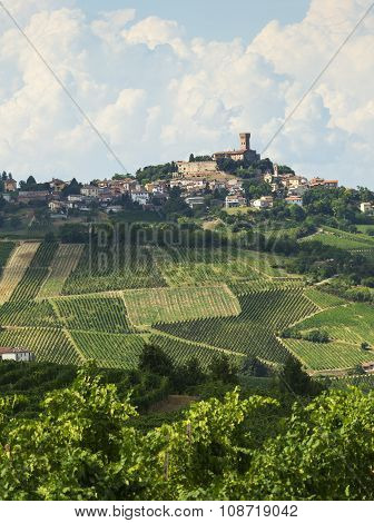 Vineyards In Oltrepo Pavese (italy)