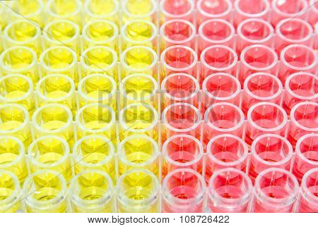 Red And Yellow Solution