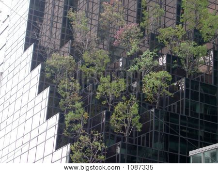 Cidade jardim