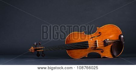 violin on black background