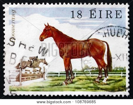 Postage Stamp Ireland 1981 Show-jumper Boomerang, Horse