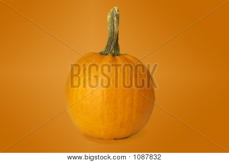 Kürbis auf Orange