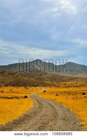 Countryside Desert Dirt Path