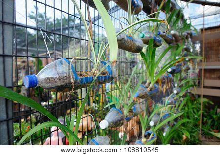 SELANGOR, MALAYSIA - JUNE 06, 2015: Planting flowers and vegetables in plastic containers that have been reused. It was hanged as a vertical garden.