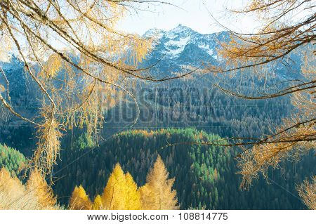 Mountain Autumn Landscape With Colored Trees
