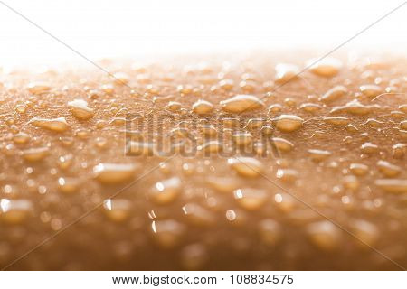 Human Skin.
