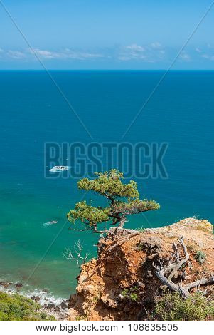 Beautiful Crimean landscape in Cape Martyan reserve