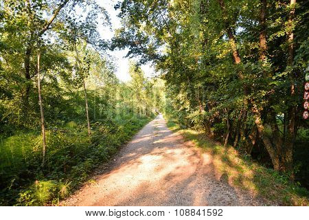 Countryside Desert Dirt Path