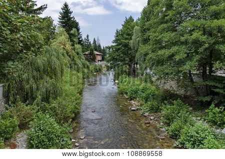 View toward river, rest-house and highly varied plant