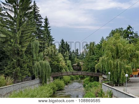View toward river with bridge and highly varied plant