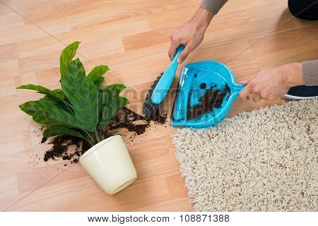 Man Cleaning Mud Spilled From Potted Plant On Floor