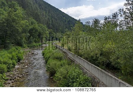 View toward river, rest-house and highly varied plant
