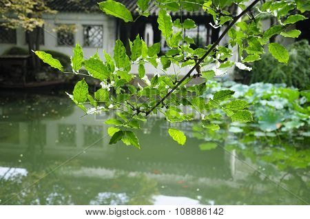 Lingering Garden Suzhou