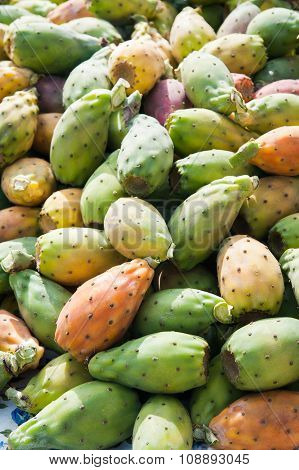 Bastardoni Fruits For Sale