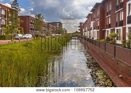 Eco Friendly Suburban Street
