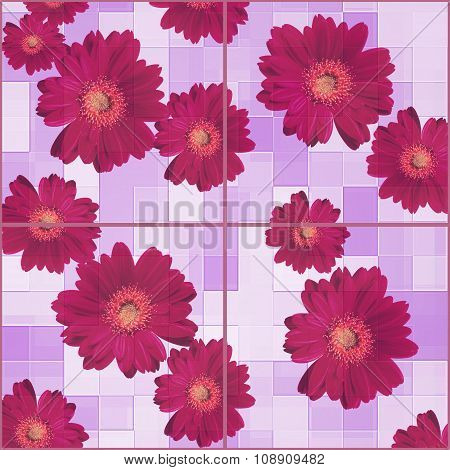 Beautiful background of Chamomiles
