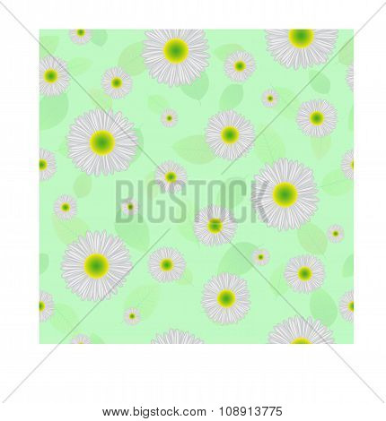 Seamless background. Chamomile.