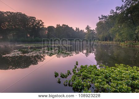 Spring Source Pond