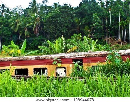 Riding By Train The Scenic Mountain Track From Nuwarelia To Colombo