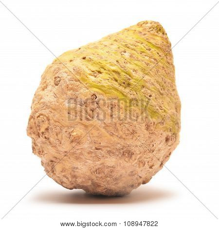 Celery