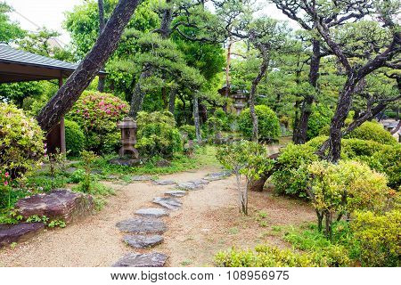 Japanese style garden in Japan