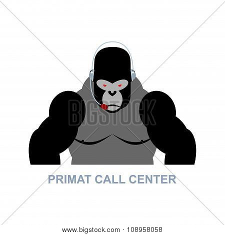Primat Call Center. Monkey And Headset. Gorilla Responds To Phone Calls. Customer Service From Back