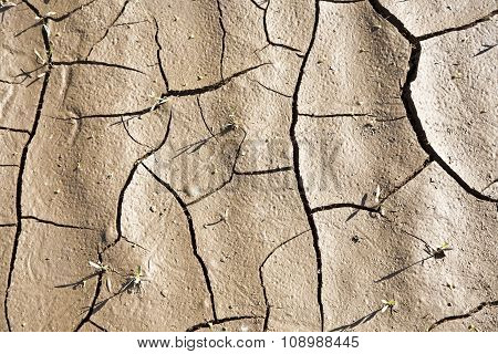 Cracked Earth Background