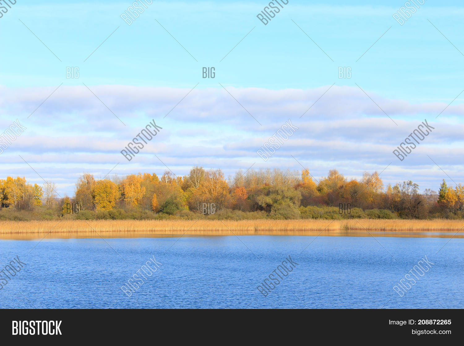 Autumn Nature. Autumn Image & Photo (Free Trial) | Bigstock