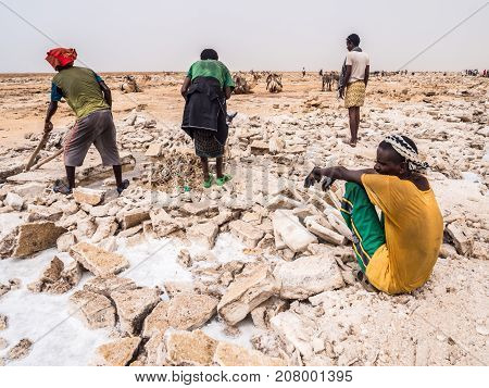 DANAKIL DEPRESSION ETHIOPIA - JUNE 29 2016: Afar man mining salt from salt flats in Afar region Danakil Depression Ethiopia.