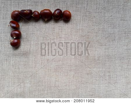 autumnal corner of fresh chestnuts on beige fabric