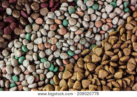 Dry pet food background - three kinds. Meat.
