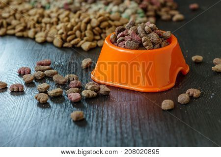 Pet food in bowl for cat and dog