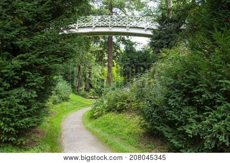 Garden landscape: winding footpath in an old park among green trees passes over the openwork pedestrian bridge . Park Schoenbusch ( Schönbuch ) - english landscape garden Aschaffenburg Germany