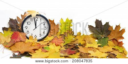 Isolated Electronic Wall Clock. Autumn Abstraction.