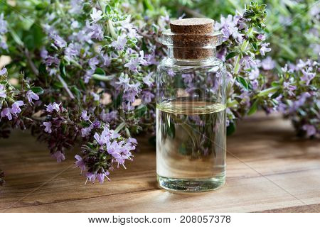 A Bottle Of Thymus Serpyllum (breckland Thyme) Essential Oil