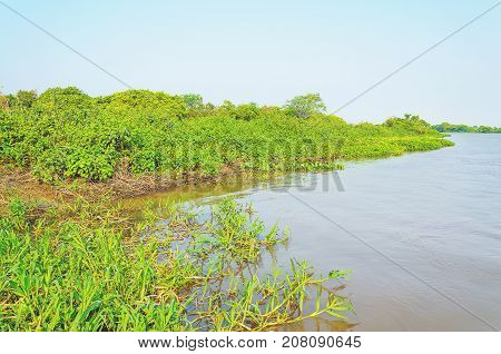 Pantanal Landscape With The River And Green Vegetation Around