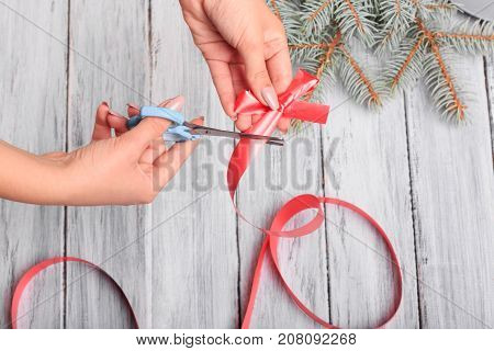 Hands with scissors, cut off a red bow. Close-up . Next to it is a branch of spruce.
