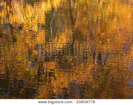Reflets de couleur automne